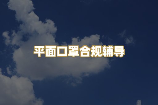 平面口罩合规辅导